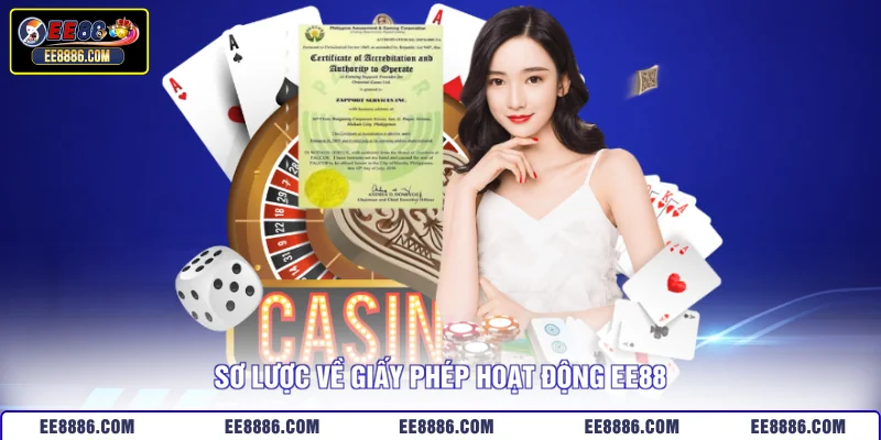 Sơ lược về giấy phép hoạt động EE88